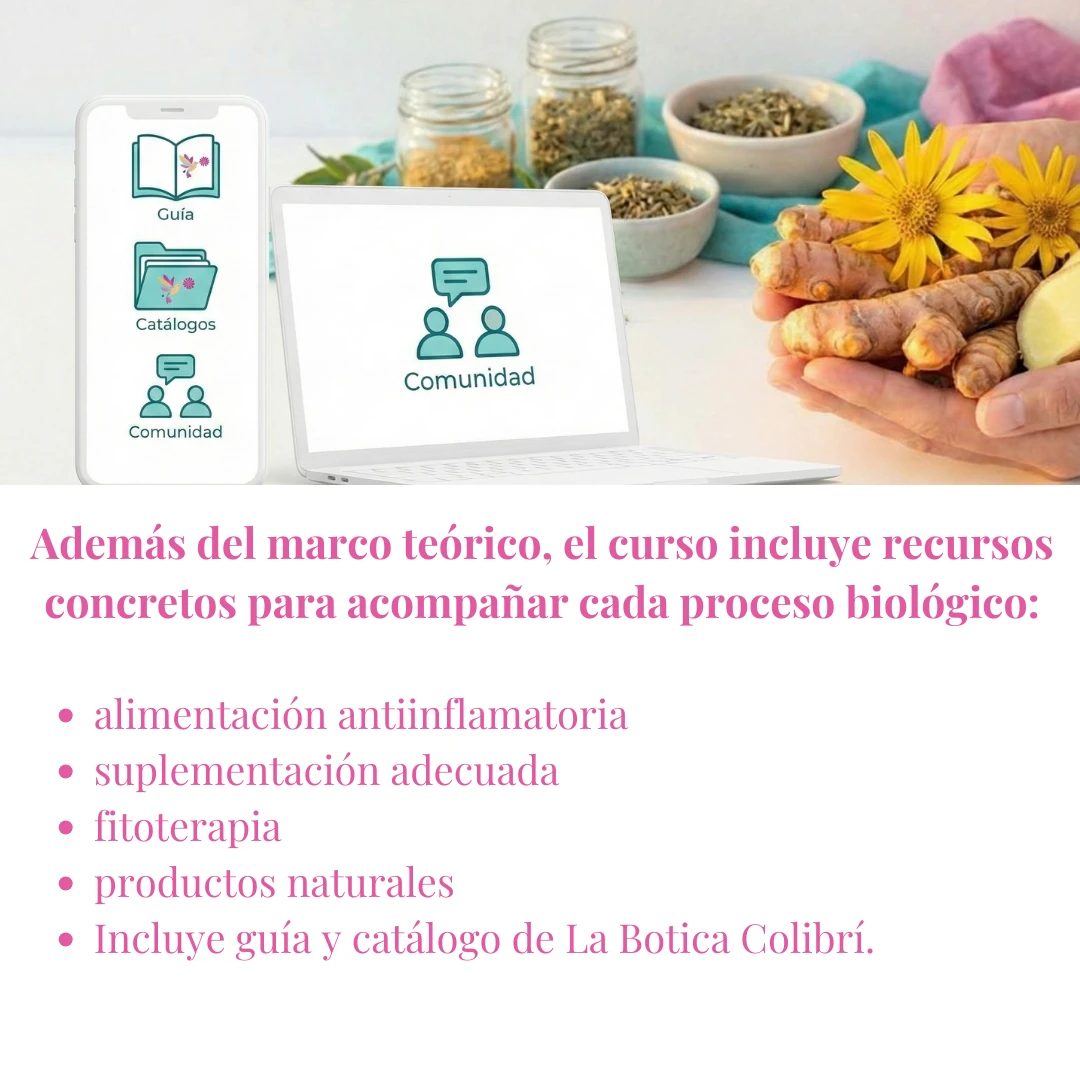 Portada curso Osteo-articular